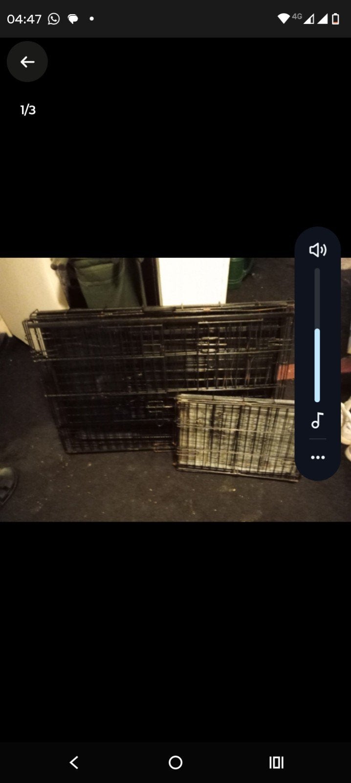 benche en transport boxen groot en klein, Dieren en Toebehoren, Ophalen of Verzenden