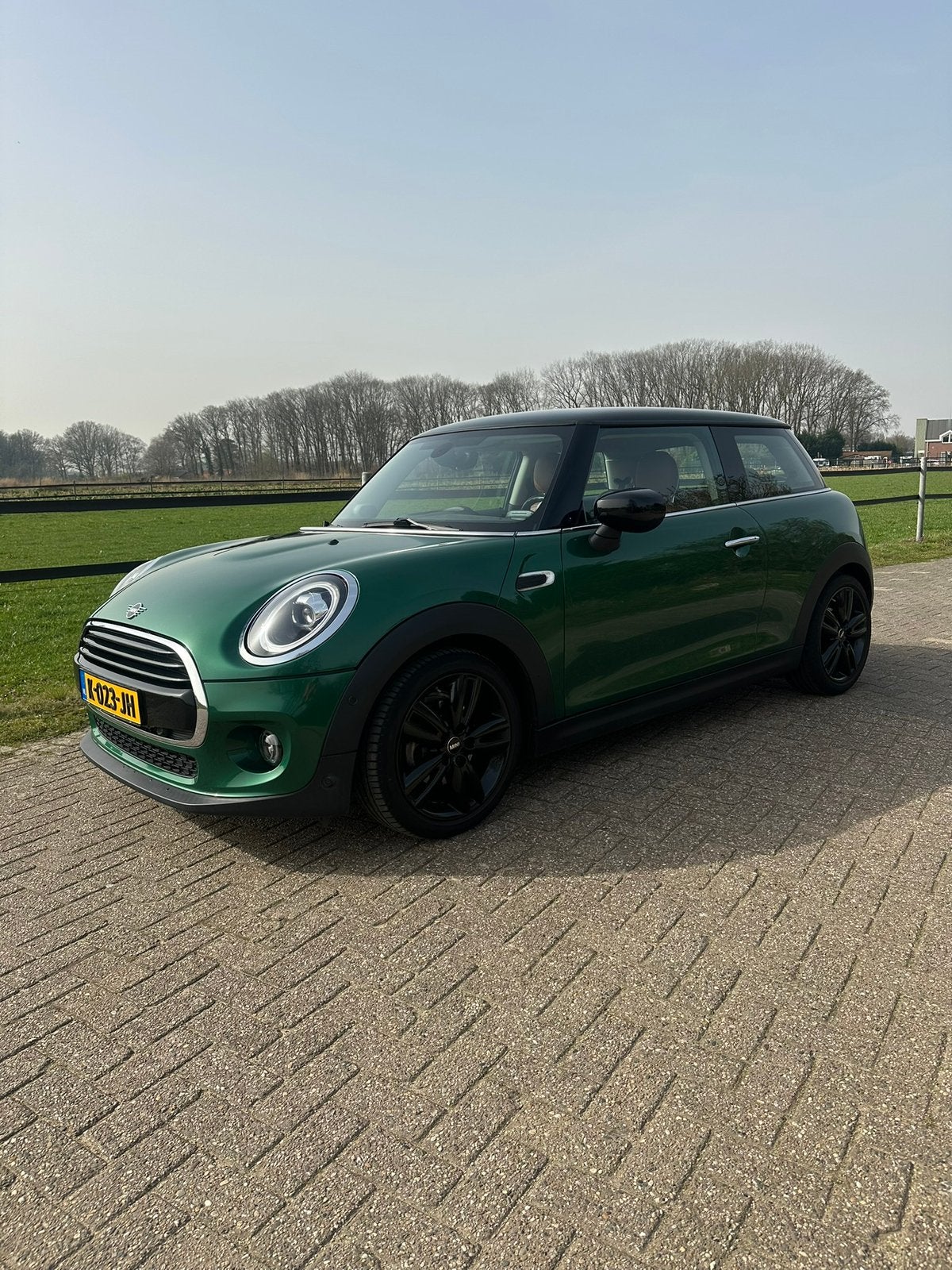 Mini cooper  3-deurs 1.5 136pk 2021 Groen, Auto's, Mini, Voorwielaandrijving, 136 pk, 4 stoelen, 49 €/maand