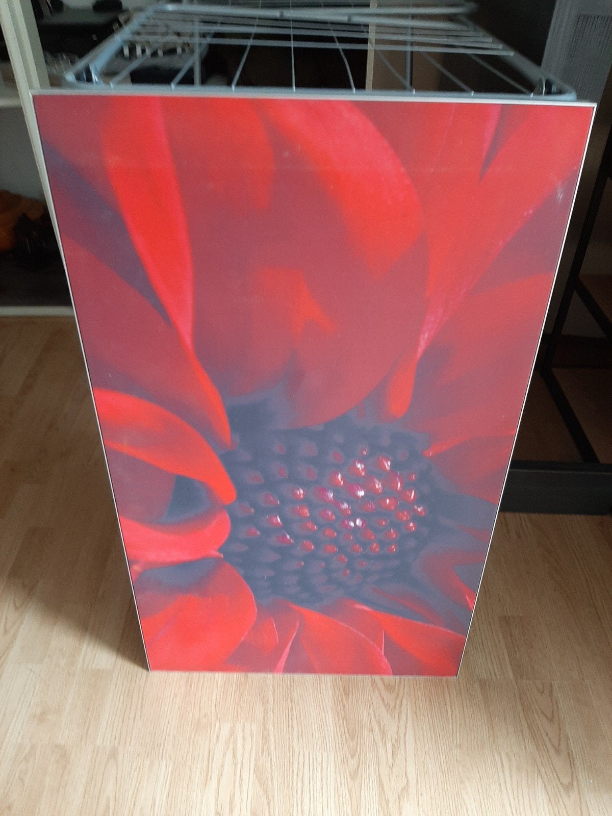 Mooi canvas doek met metalen omlijsting, Ophalen of Verzenden, 75 – 100, 50 tot 75 cm, Print