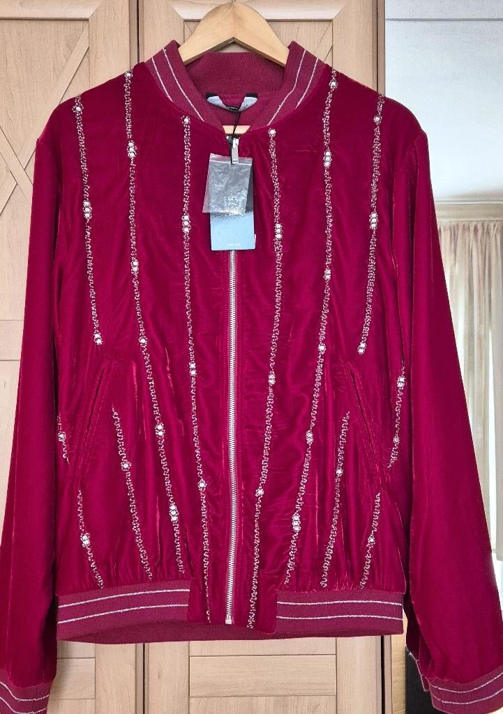 Bordeauxrode velvet jas - zilverdraad en strass - H&M - Mt L, Maat 52/54 (L), Overige kleuren, Nieuw, Ophalen of Verzenden