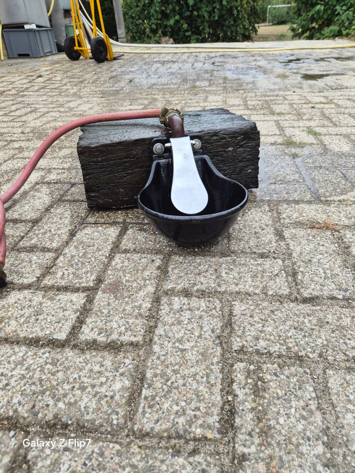 goede, mooie automatische drinkbak voor paard koe vee,