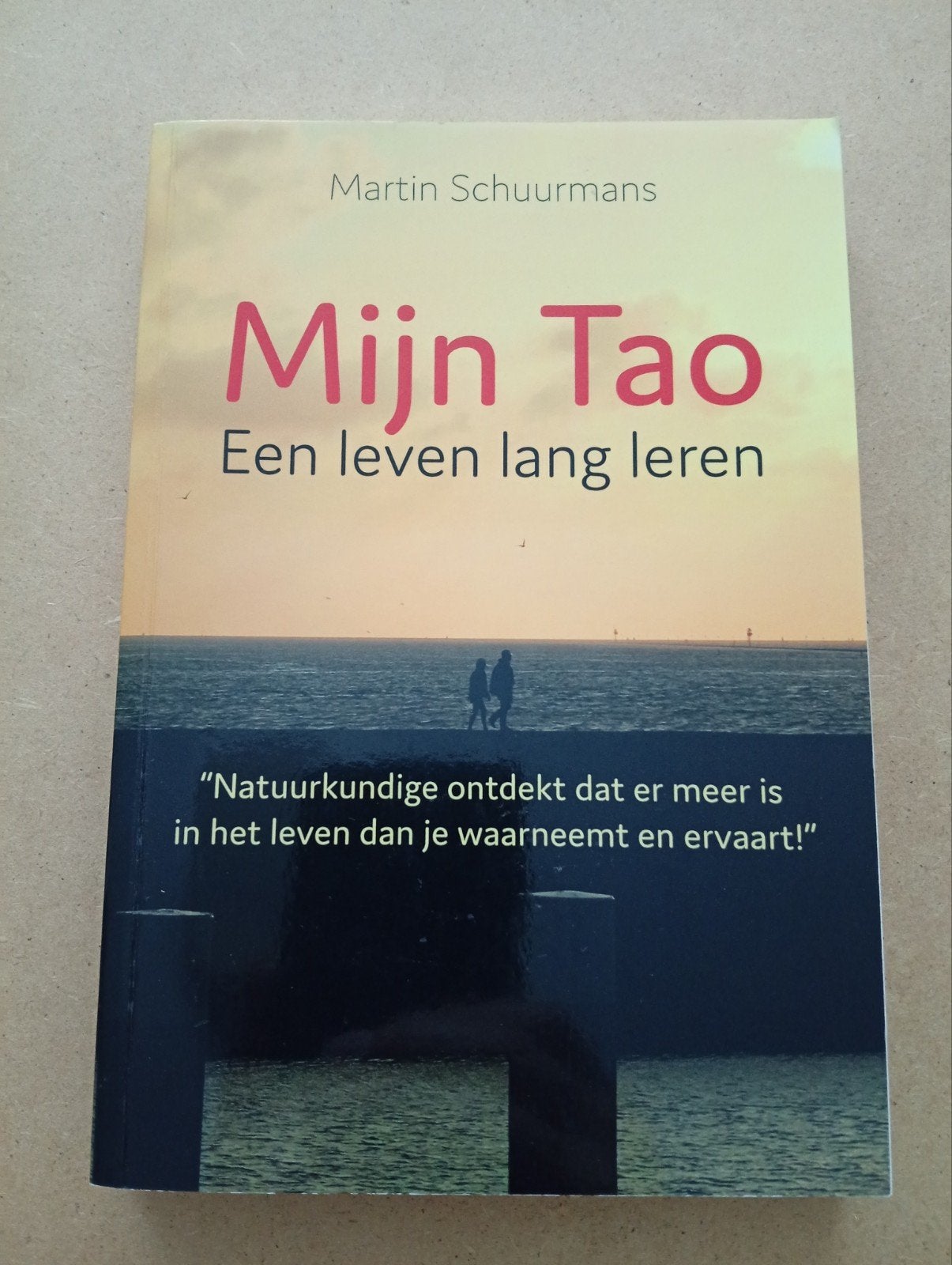 Mijn Tao: Een leven lang leren - Martin Schuurmans, Boeken, Achtergrond en Informatie, Spiritualiteit algemeen, Ophalen of Verzenden