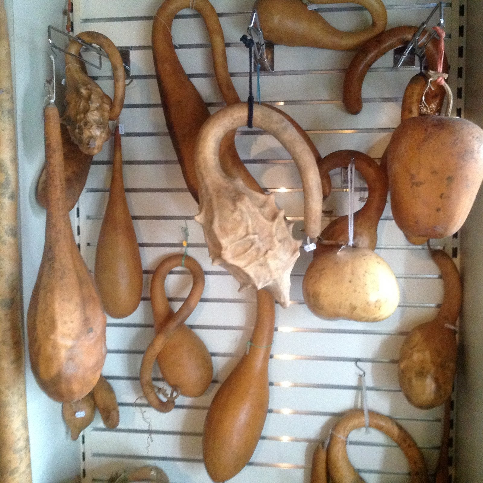Te koop gedroogde kalebassen, Ophalen of Verzenden, Zo goed als nieuw