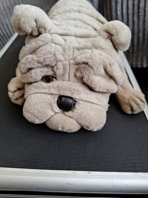 Knuffel hond Sharpei h, Onbekend, Zo goed als nieuw, Onbekend, Onbekend