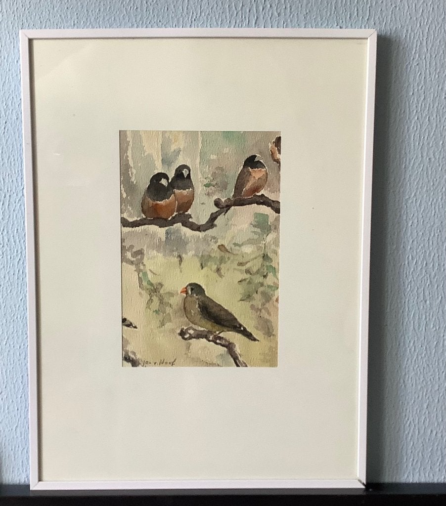 ORGINELE AQUAREL JAN V.HOOF VOGELS, Ophalen of Verzenden