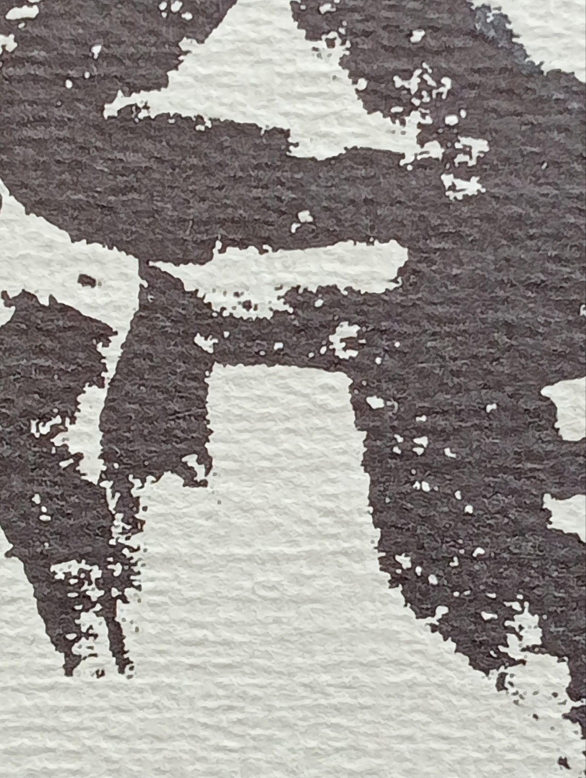 Frieda Hunziker Litho boek cover, Ophalen of Verzenden