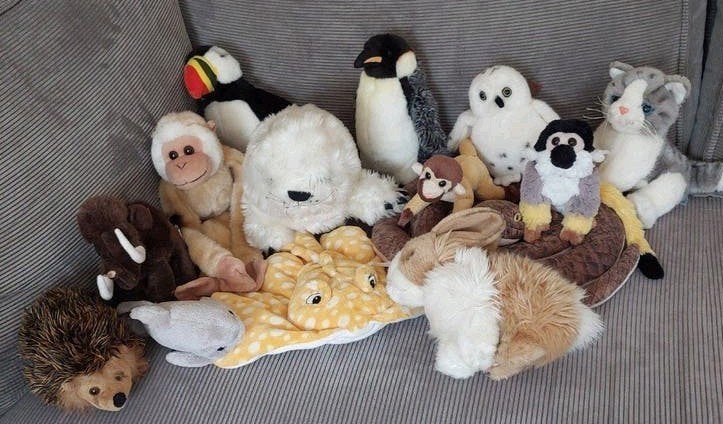 Grote collectie knuffels van diverse dieren, Kinderen en Baby's, Speelgoed | Knuffels en Pluche, Ophalen, Overige merken, Overige karakters