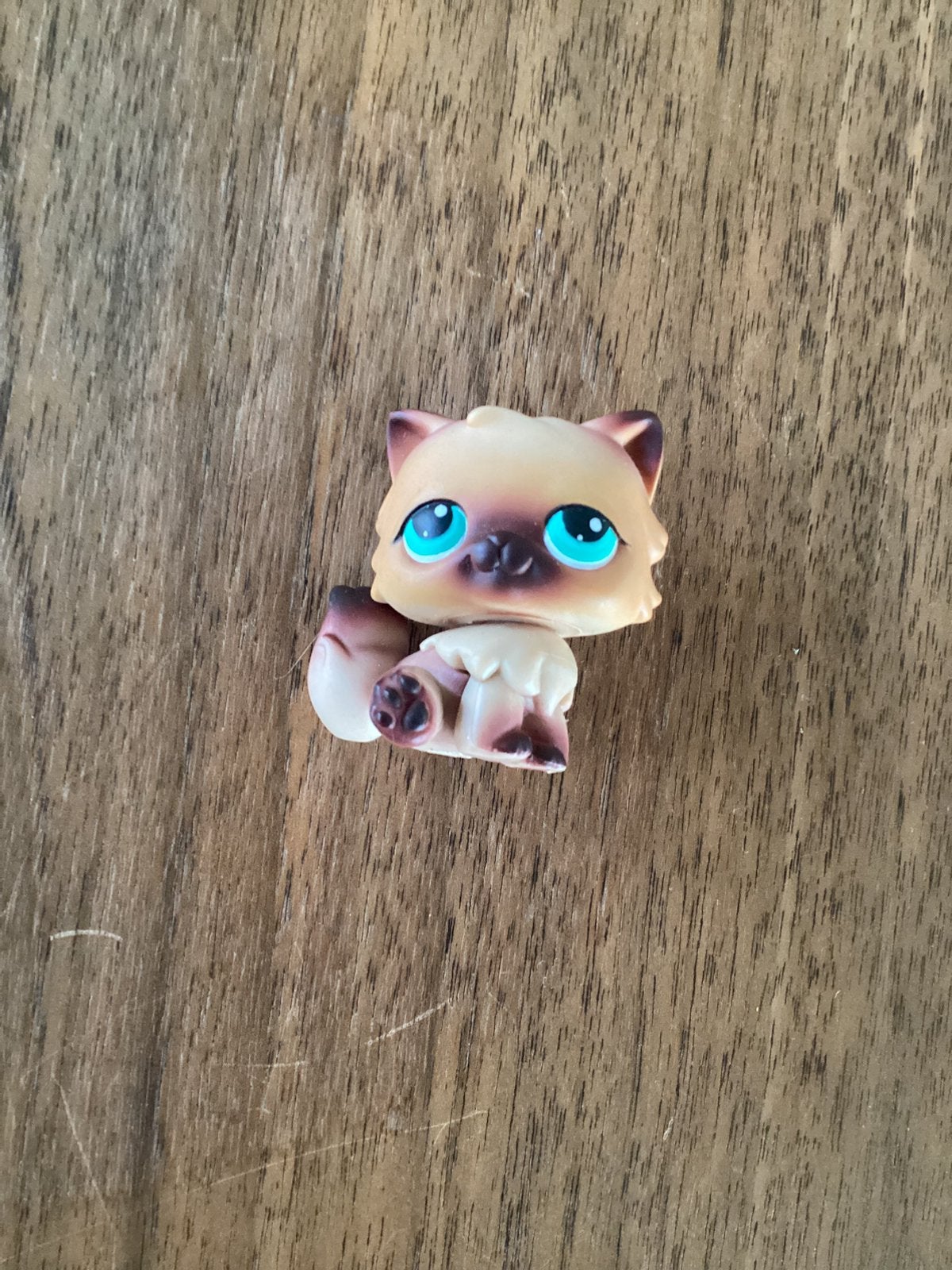 Littlest Pet Shop #707 Perzische/Siamese Kat - Bruin/Beige, Ophalen of Verzenden, Nieuw, Hond of Kat, Beeldje of Figuurtje