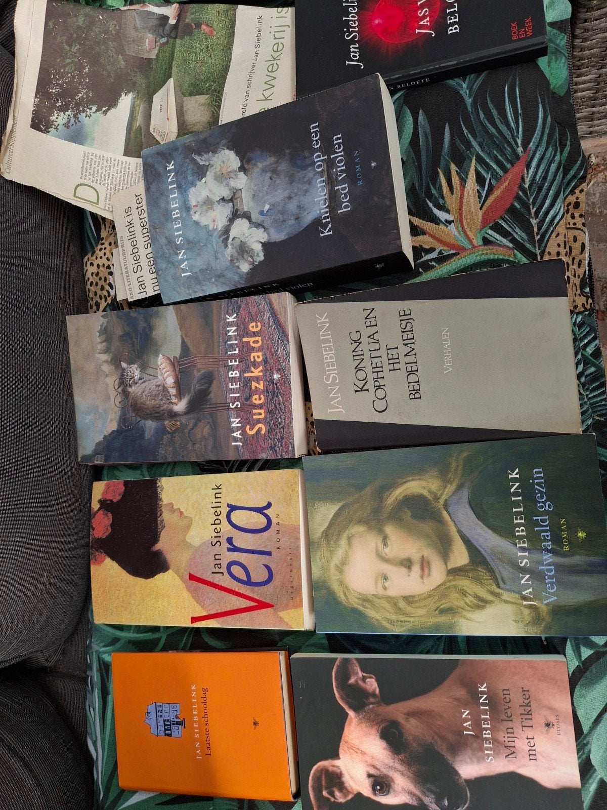 Jan Siebelink Boeken - Diverse Titels  nieuwstaat, Boeken, Ophalen of Verzenden, Nieuw, Jan Siebelink