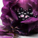 Lancôme La Nuit Trésor Eau de Parfum, N, N, Nieuw, Ophalen of Verzenden