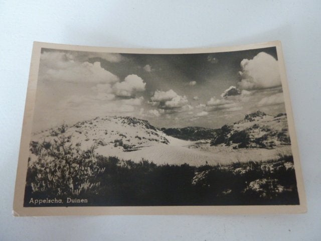 Appelscha 1949 Duinen, Ophalen of Verzenden, Voor 1920, Gelopen