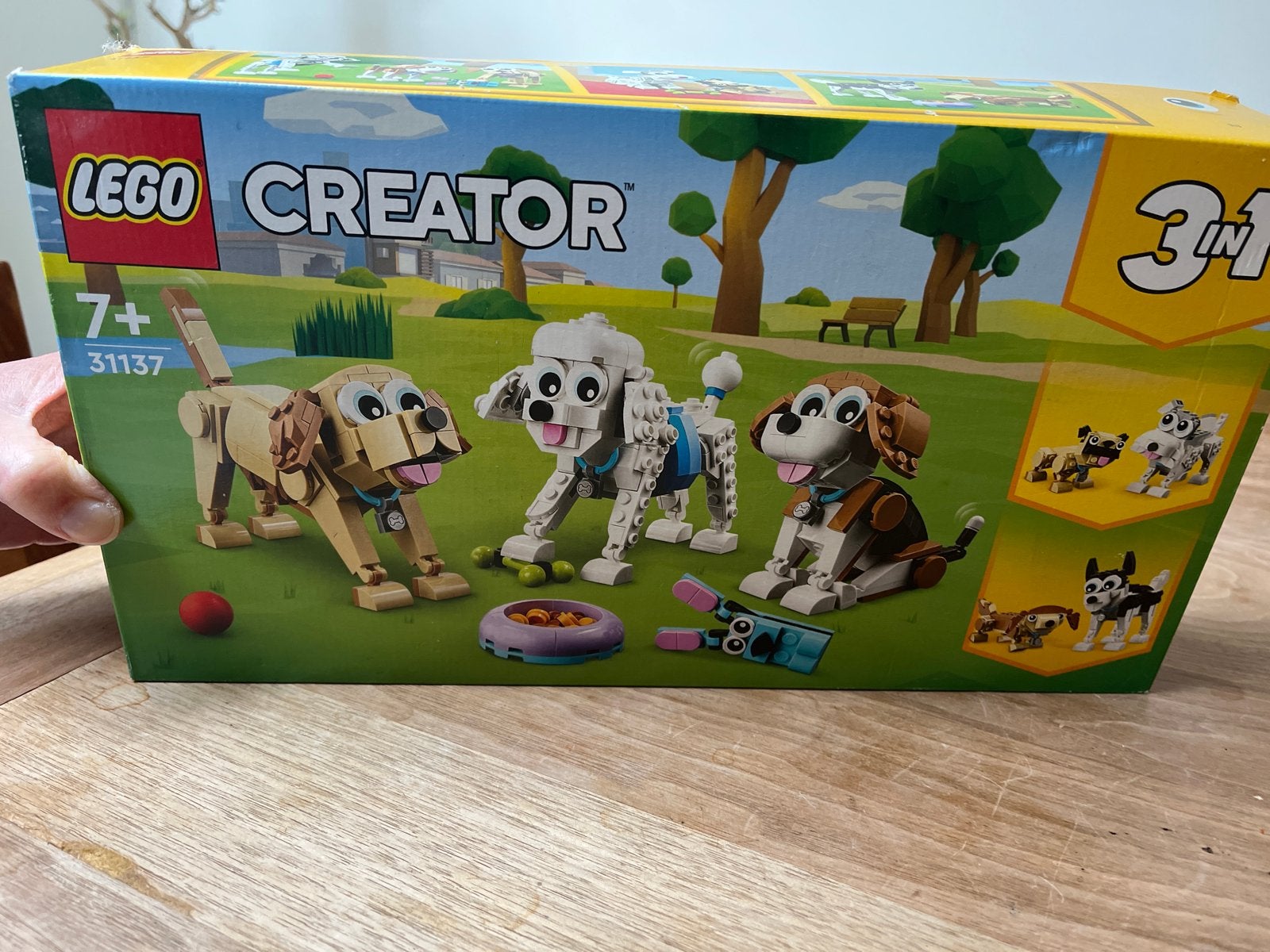 LEGO Creator 3in1 Schattige Honden (31137) - Zo goed als nie, Ophalen of Verzenden, Zo goed als nieuw, Overige merken