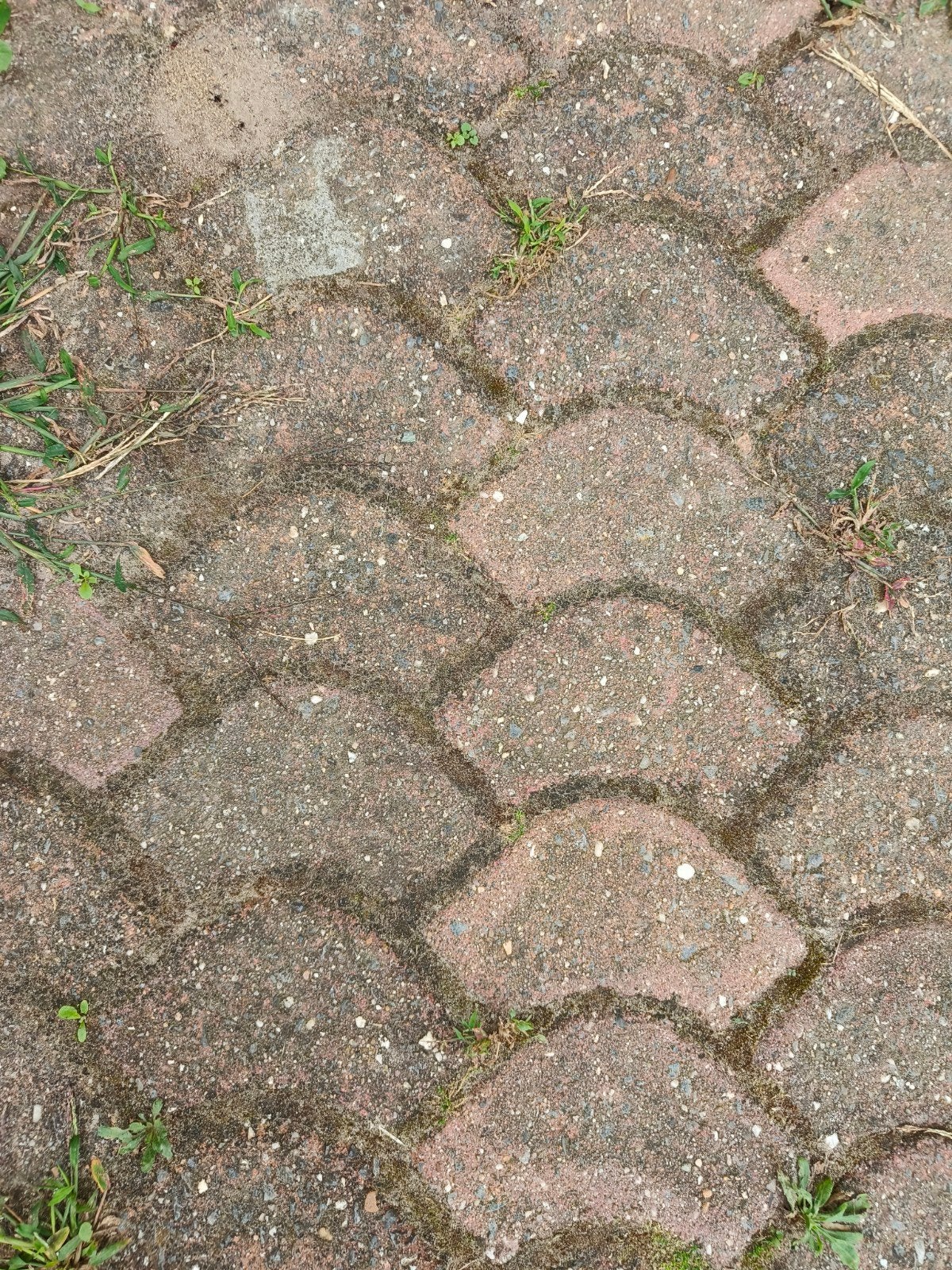 Roodachtige trapeziumvormige betonstenen (ca. 6-7 m²), Tuin en Terras, Overige materialen, Gebruikt, Overige typen, 5 tot 10 m²