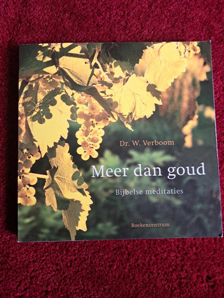 W. Verboom - Meer dan goud, Ophalen of Verzenden, Gelezen, W. Verboom