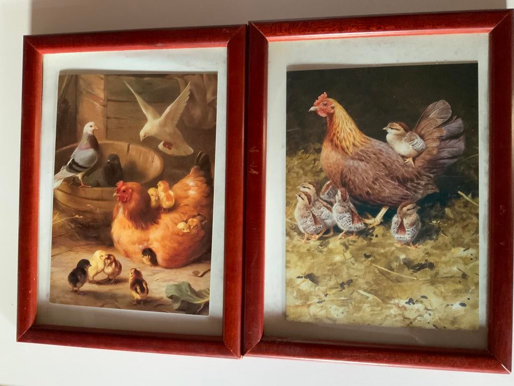 Twee leuke kippen prentjes. Ingelijst., Huis en Inrichting, Woonaccessoires | Schilderijen, Tekeningen en Foto's, Ophalen of Verzenden