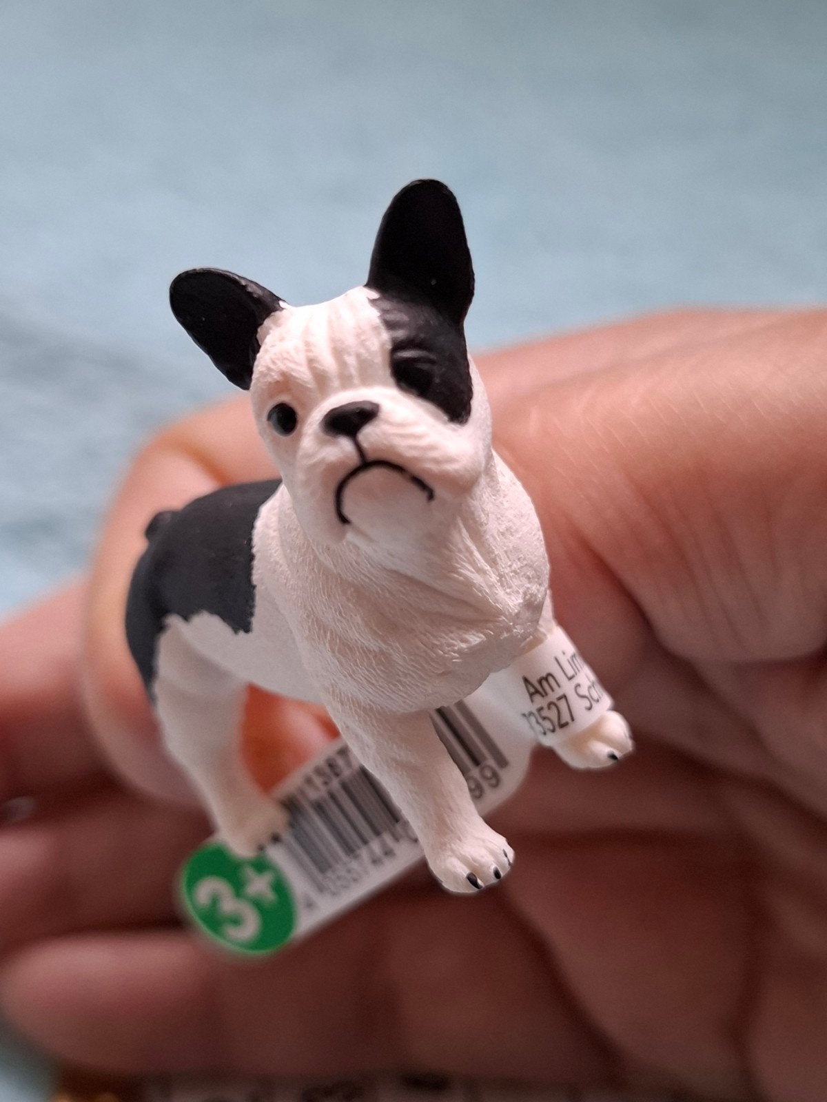 Schleich Franse Bulldog, Ophalen of Verzenden, Nieuw