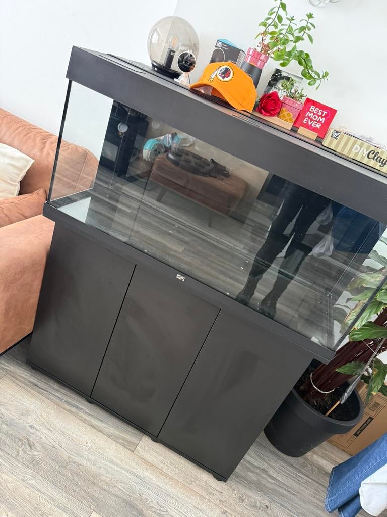 Juwel aquarium, Ophalen, Inclusief toebehoren, Zo goed als nieuw, Overige typen