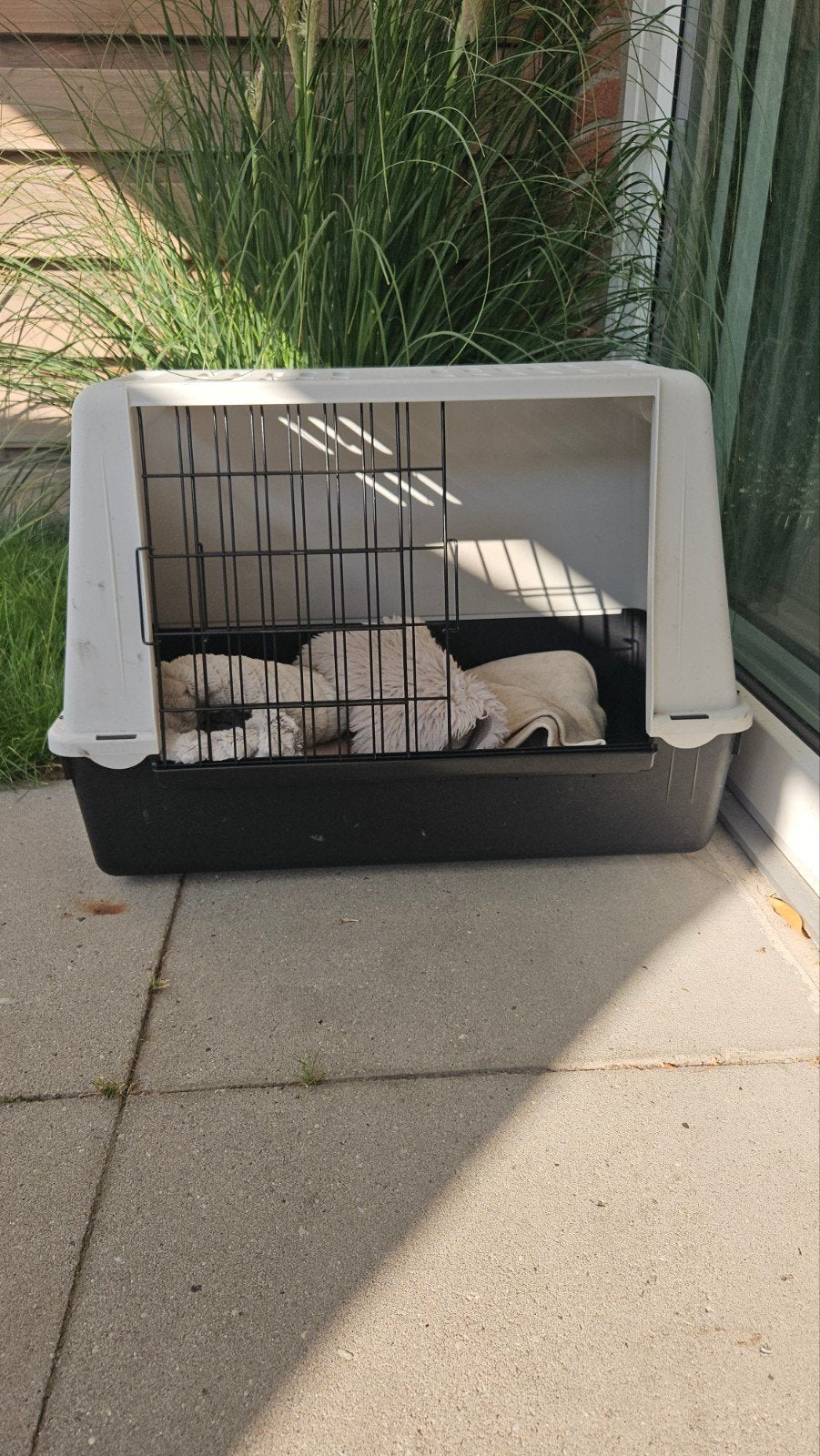 Bench hond, Ophalen, Zo goed als nieuw, 75 tot 110 cm, Minder dan 65 cm
