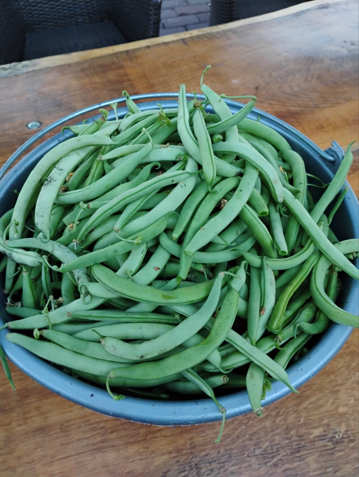 Verse sperzieboontjes onbespoten / biologisch, Tuin en Terras, Bloembollen en Zaden, Ophalen, Volle zon