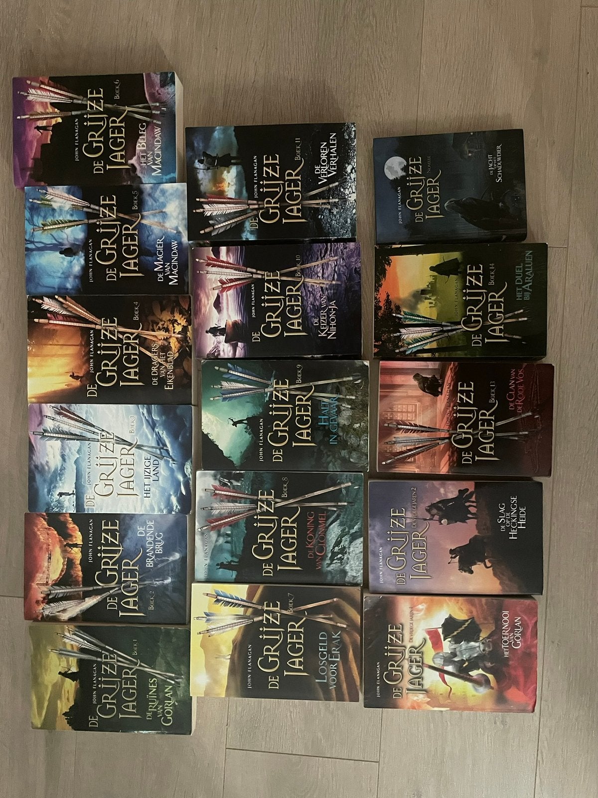 De Grijze Jager 16 boeken, Boeken, Ophalen of Verzenden, Gelezen