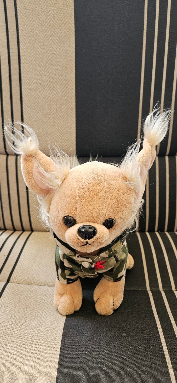 Knuffel hondje met jasje en capuchon, Ophalen of Verzenden, Zo goed als nieuw, Hond