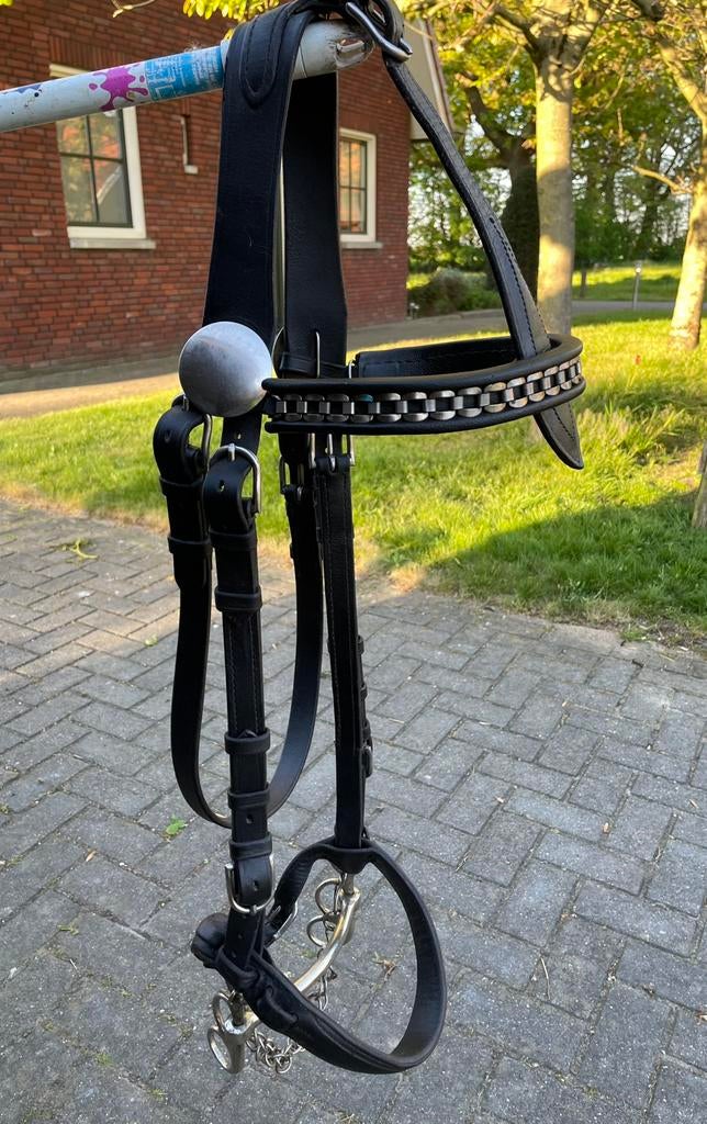 Tuig voor trekpaard, Dieren en Toebehoren, Paarden en Pony's | Hoofdstellen en Tuigage, Ophalen, Gebruikt, Recreatie