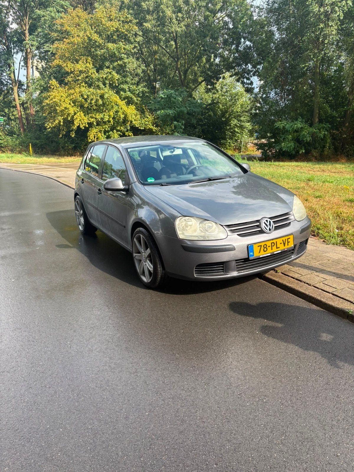 Volkswagen Golf 1.6 16V FSI 85KW 5D 2004 Grijs, Auto's, Volkswagen, Voorwielaandrijving, 4 cilinders, 620 kg, Origineel Nederlands