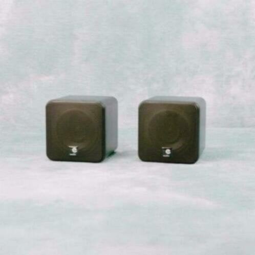 4 Inch dual cone mini luidsprekerbox Zwart