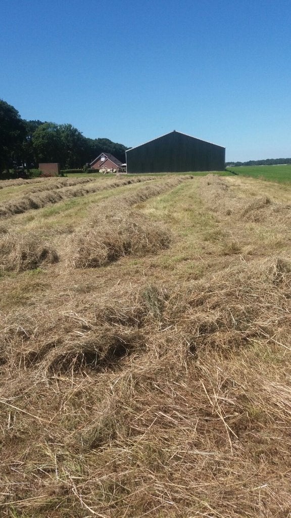 Kleine hooipakjes te koop aangeboden, Dieren en Toebehoren, Stalling en Weidegang