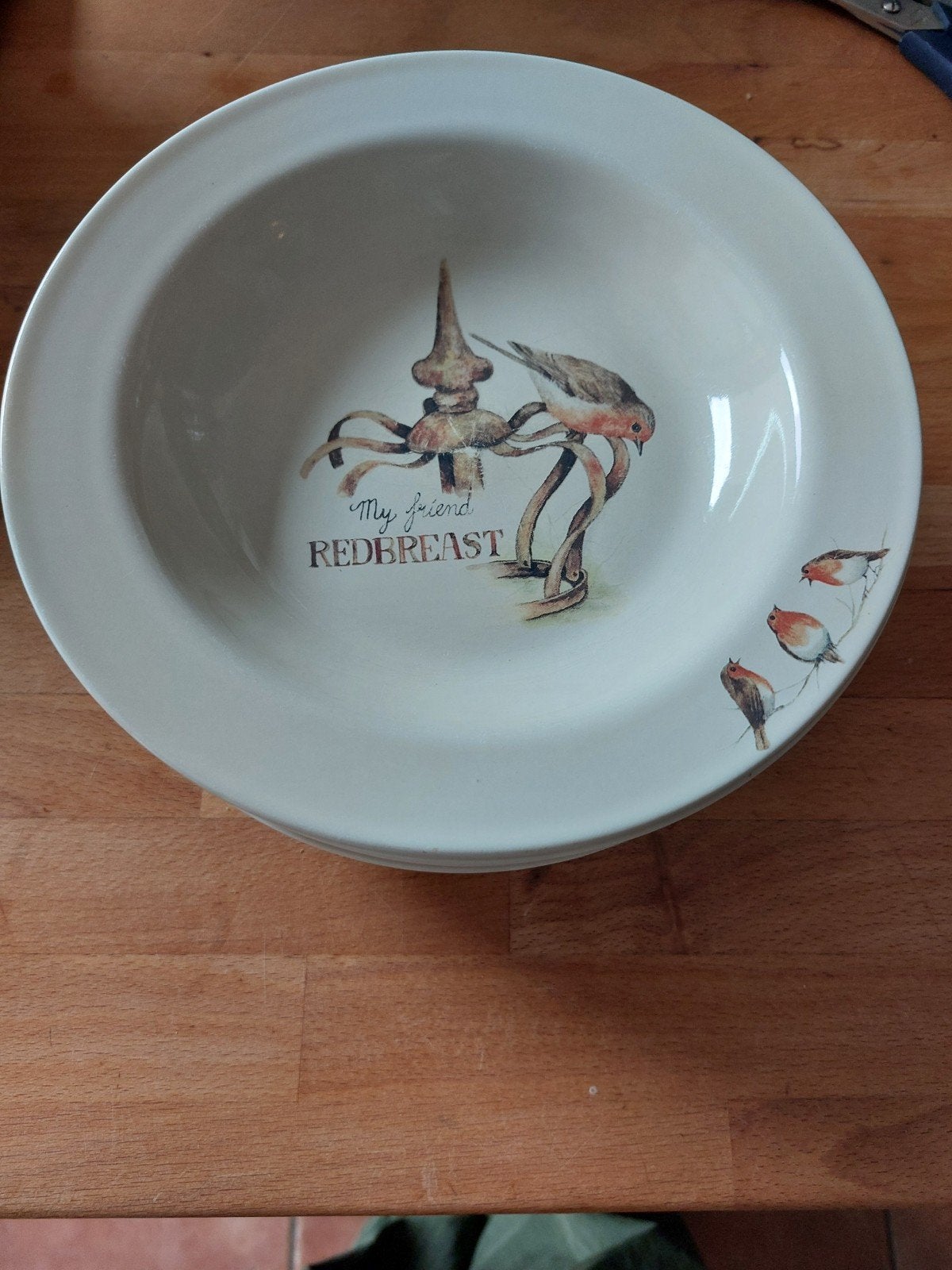 6 diepe borden 'My friend Redbreast' van J.E.I. & Company, Ophalen of Verzenden