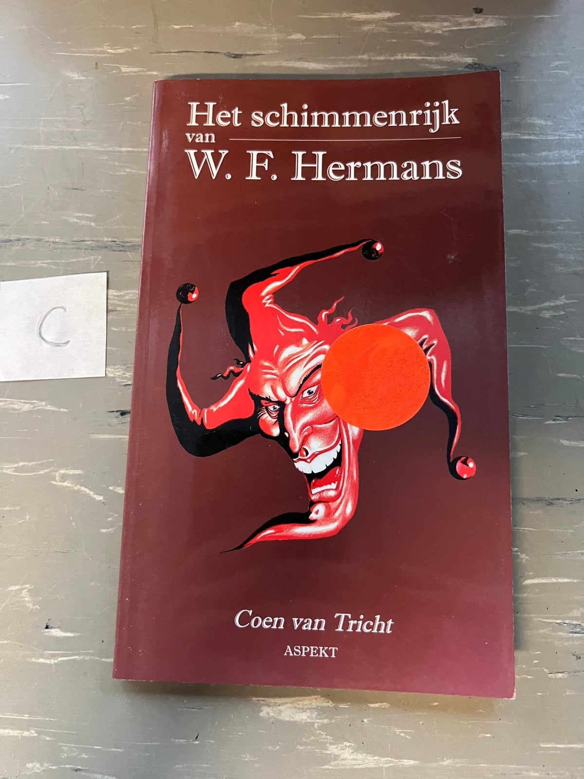 Het schimmenrijk van W.F. Hermans - Coen van Tricht, Ophalen of Verzenden, Zo goed als nieuw, Nederland