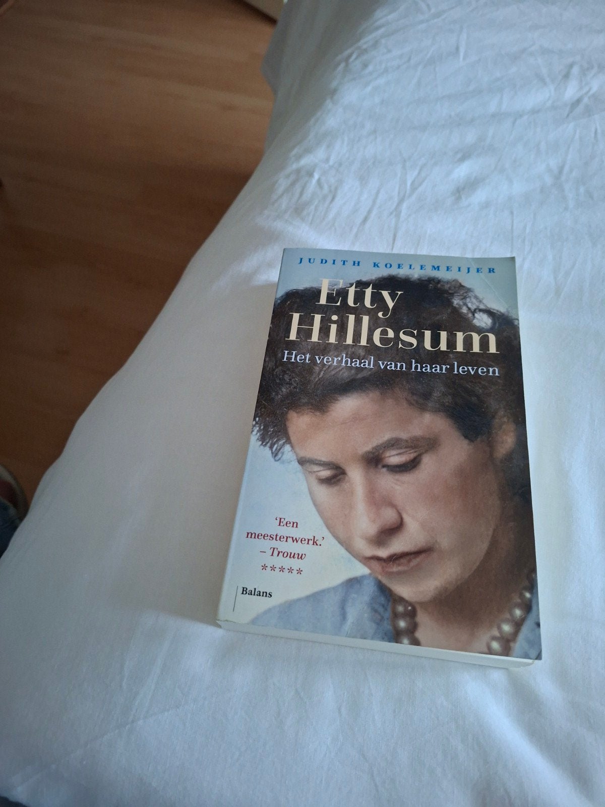 Judith Koelemeijer - Etty Hillesum, Ophalen of Verzenden, Zo goed als nieuw, Judith Koelemeijer
