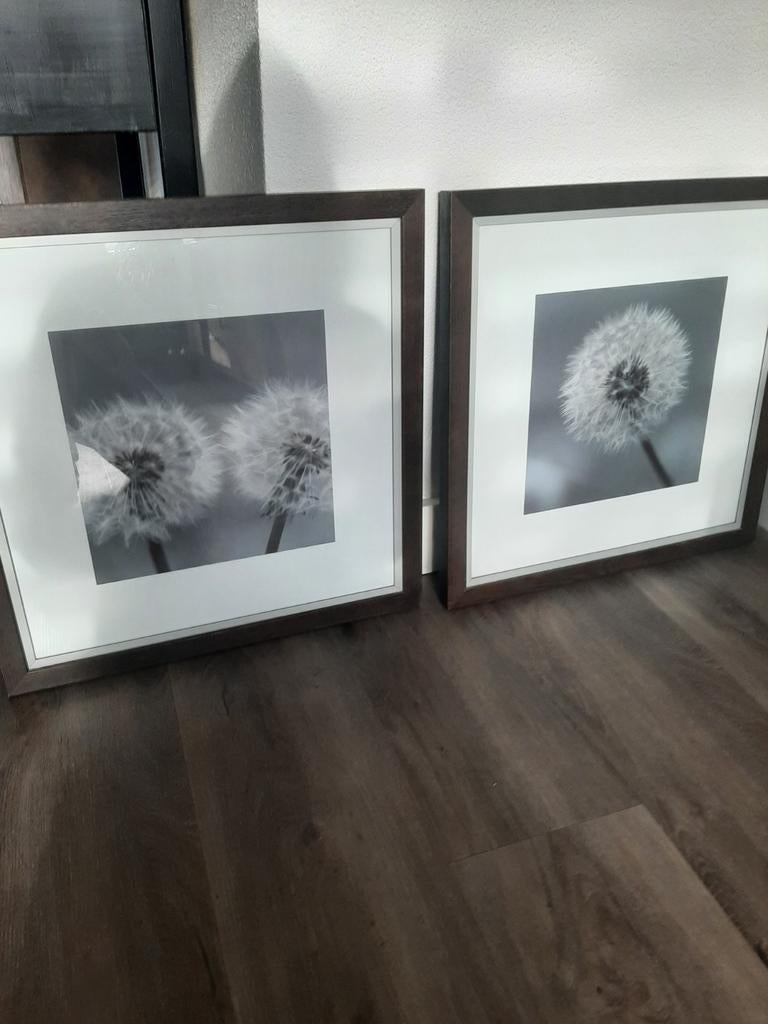 2 mooie printen in zware lijst ieders 55x55 cm, Ophalen, Zo goed als nieuw, Minder dan 50 cm, Minder dan 50 cm
