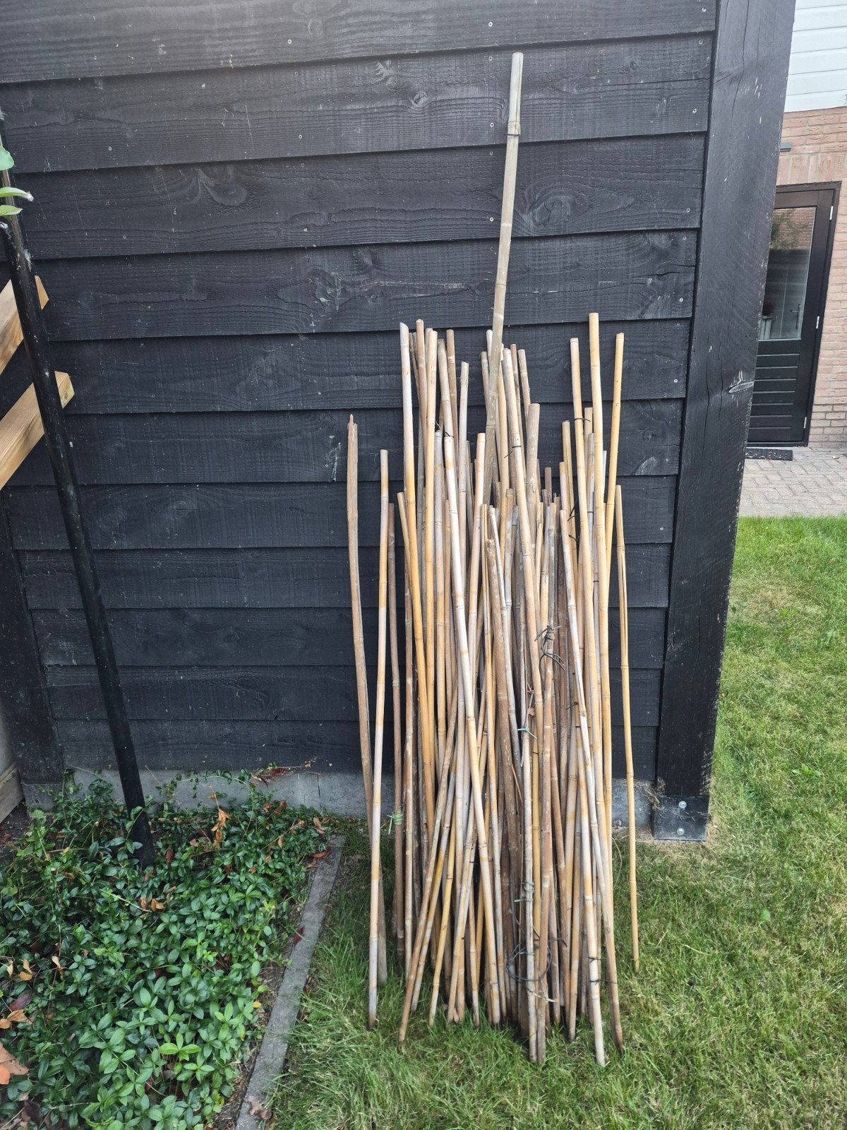 bamboestokken bomboostokken bamboe bamboo, Ophalen, Gebruikt, Minder dan 180 cm, Palen