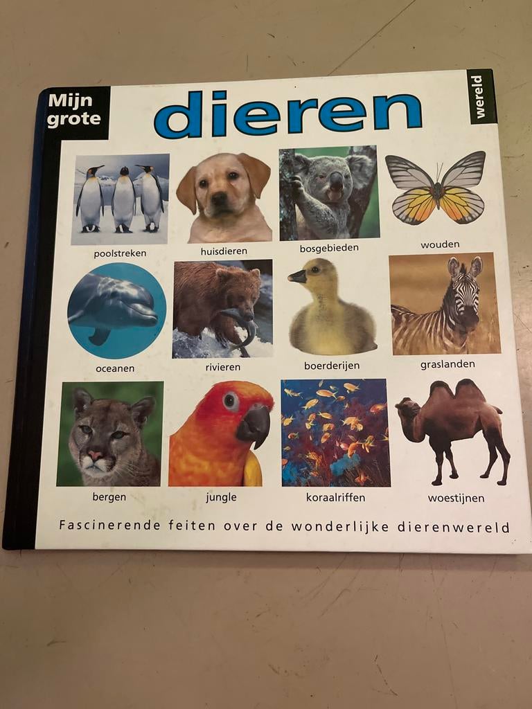Mijn Grote Dieren Wereld - Fascinerende Feiten, Boeken, Ophalen of Verzenden, Zo goed als nieuw