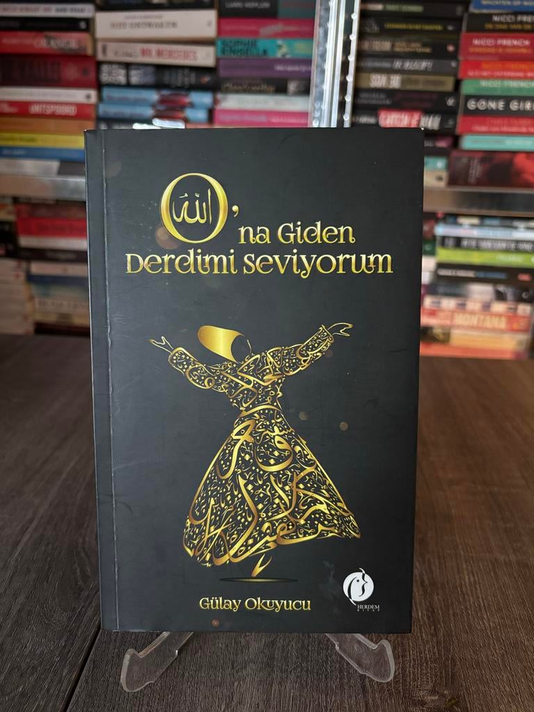 Na Giden Derdimi Seviyorum - Gülay Okuyucu, Boeken, Ophalen of Verzenden, Gelezen