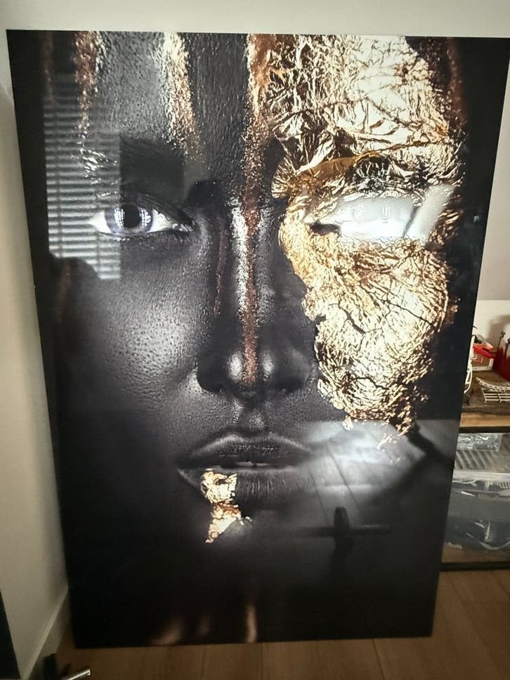 Plexiglas schilderij 150 x 100 cm Whoon Oisterwijo, Ophalen, Zo goed als nieuw, 100 tot 125 cm, Schilderij