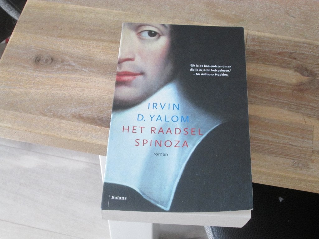 Het Raadsel Spinoza - Irvin D. Yalom (roman), Boeken, Wijsbegeerte of Ethiek, Ophalen of Verzenden, Zo goed als nieuw, Irvin D. Yalom