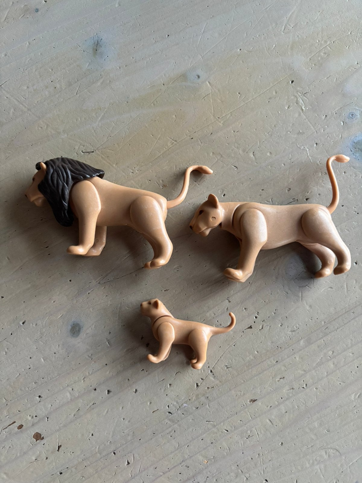 Playmobil leeuwen, Ophalen of Verzenden, Zo goed als nieuw