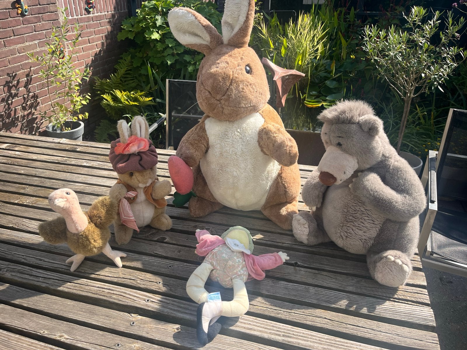 Knuffels: Pieter Konijn, Benjamin, Baloo, Jeremy Fisher, Str, Overige karakters, Overige typen, Ophalen of Verzenden, Middelgroot (20 tot 80 cm)
