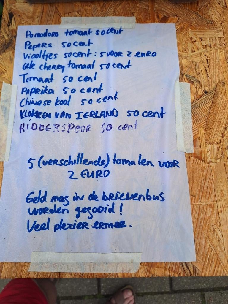 Jonge plantjes: Viooltjes, Tomaten, Pepers, Tuin en Terras, Planten | Tuinplanten, Ophalen, Groenteplanten, Eenjarig, Halfschaduw