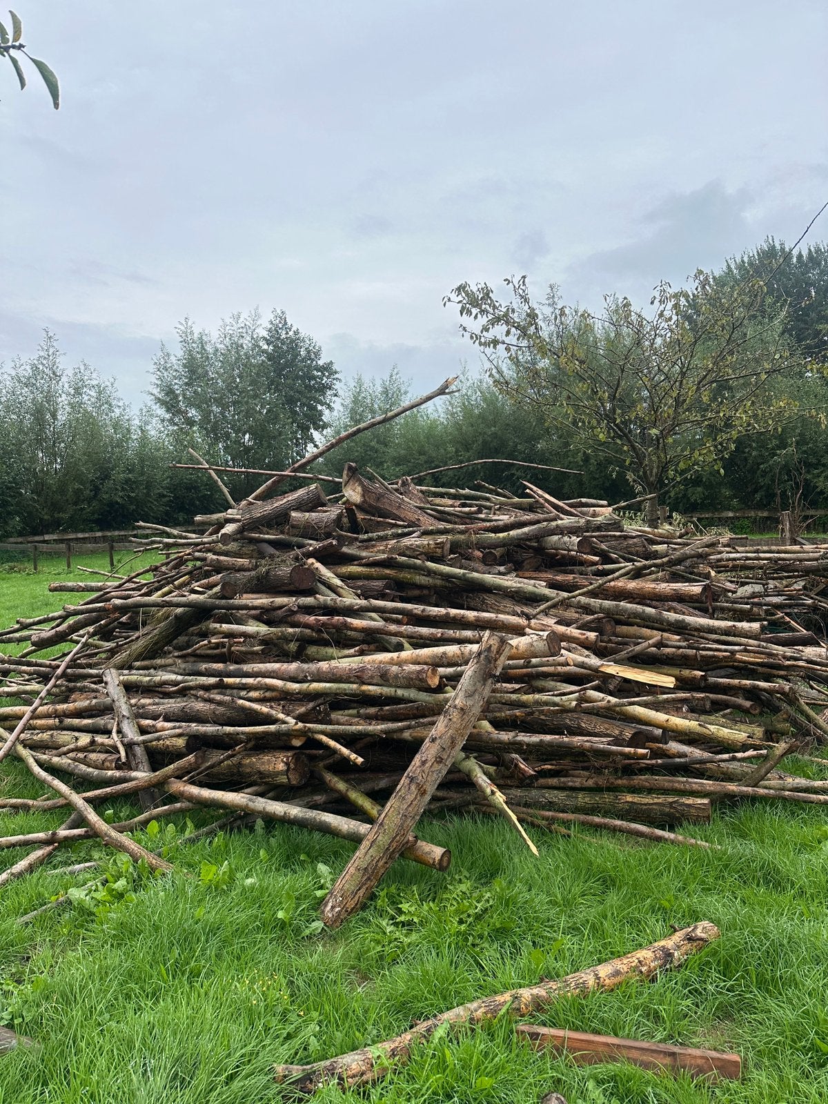 Ruim 20m3 haardhout, 6 m³ of meer, Ophalen, Overige houtsoorten, Takken