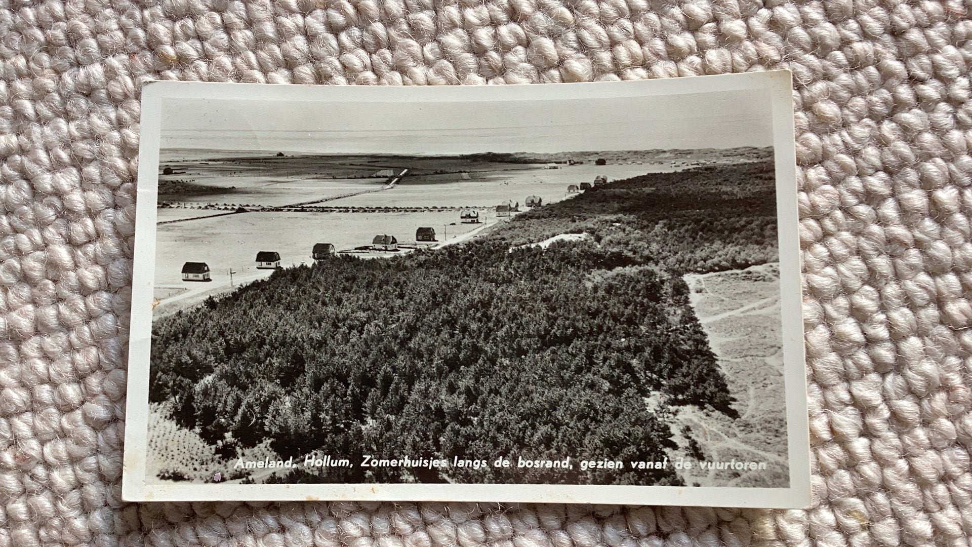 Ansichtkaart Hollum Ameland Zomerhuisjes langs bosrand 1956, Ophalen of Verzenden, 1940 tot 1960, Gelopen, Waddeneilanden
