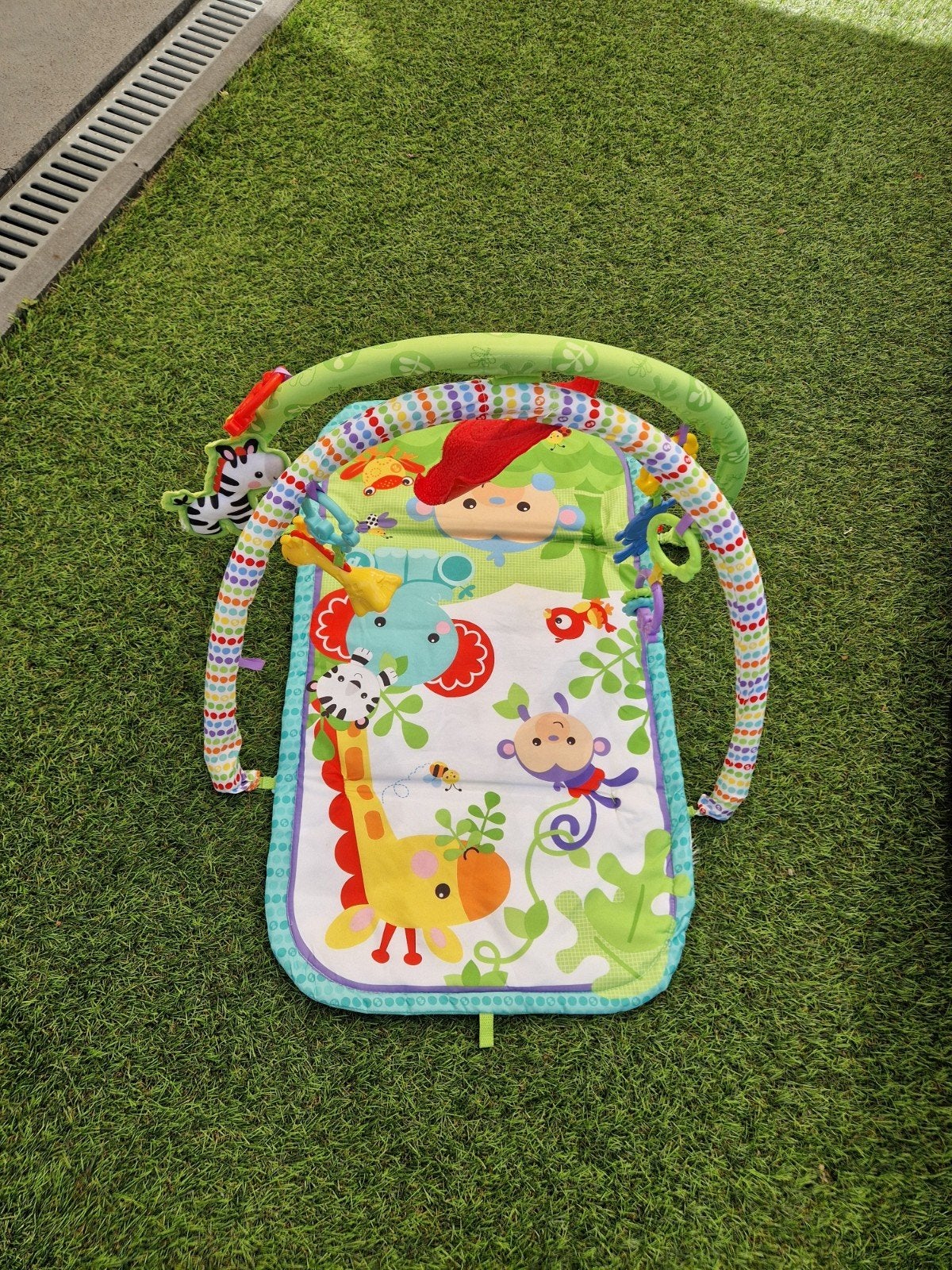 Fisher-Price Baby Gym Speelkleed met Dieren, Ophalen of Verzenden, Gebruikt, Overige typen