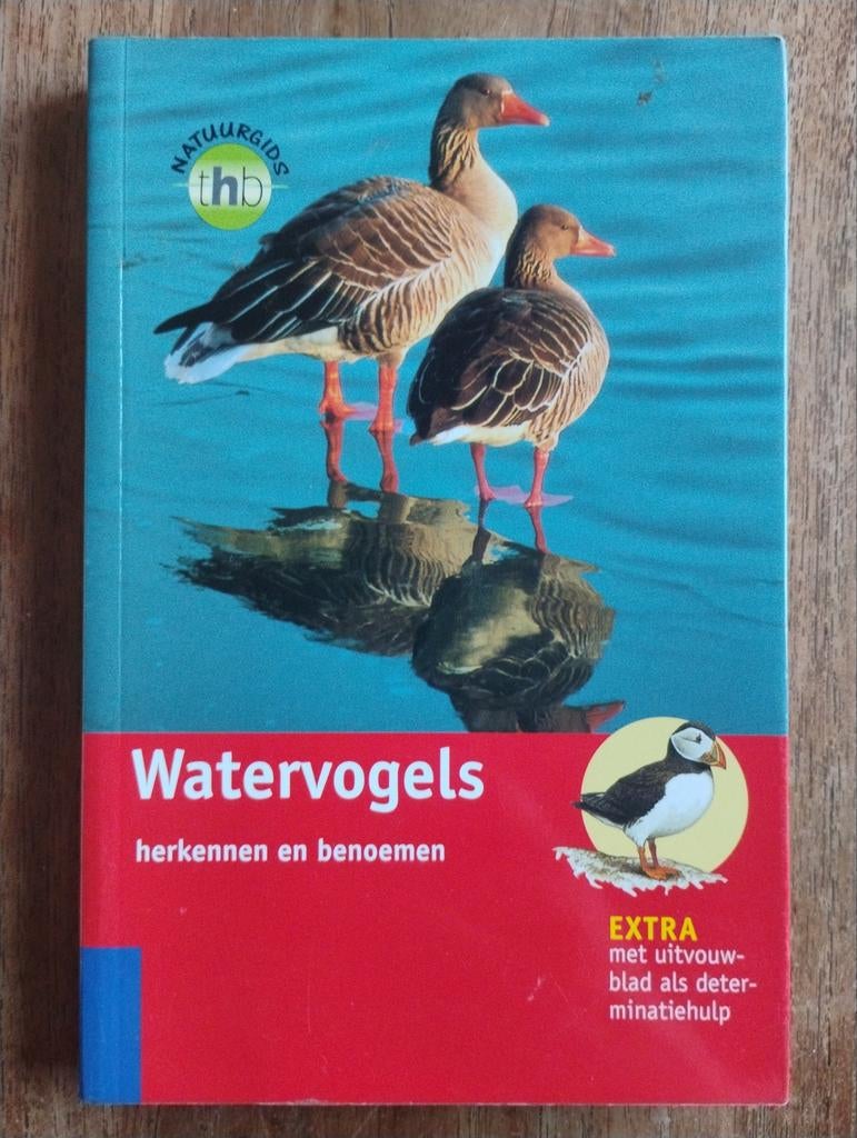 Natuurgids Watervogels: herkennen en benoemen, Boeken, Ophalen of Verzenden, Zo goed als nieuw, Gunter Steinbach, Vogels