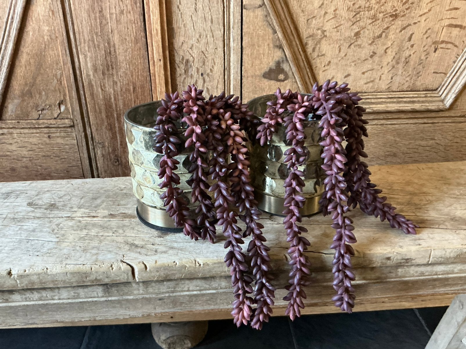 NIEUW set van 2 hangende erwtentakken bordeaux kunstbloemen, Ophalen of Verzenden, Nieuw