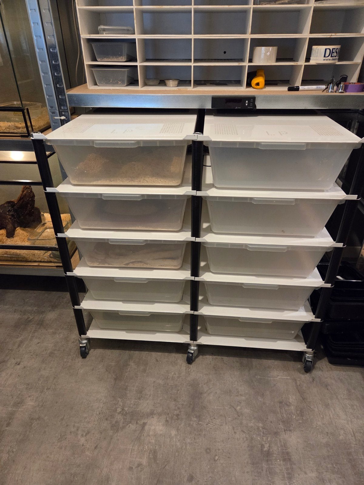 LP rack V35, Ophalen