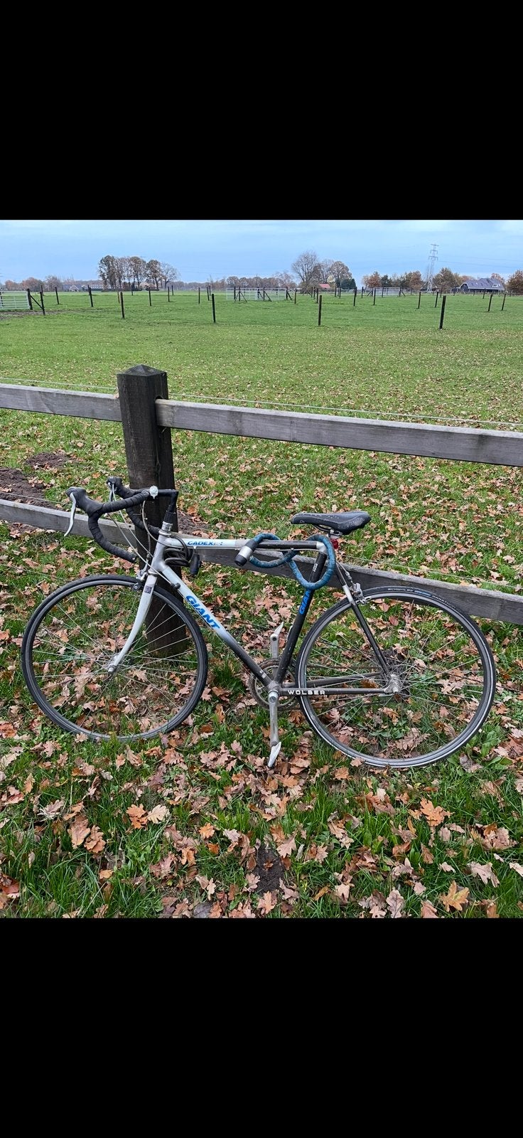 Opknap carbonnen fiets, Ophalen of Verzenden