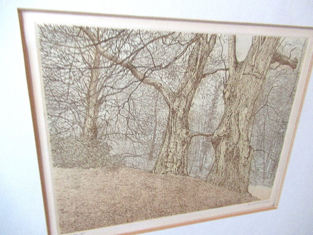 Reinder Homan Kleurenets, Antiek en Kunst, Kunst | Etsen en Gravures, Genummerd, Ophalen of Verzenden, Flora en Fauna, 50 cm
