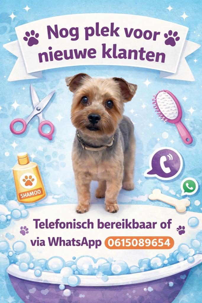 Trimsalon met plek voor nieuwe klanten!, Ophalen of Verzenden, Zo goed als nieuw